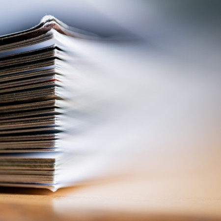 Εκτύπωση Πρακτικών